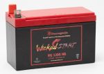 12 Volt, 9 Amp Battery