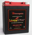 12 Volt, 14 Amp High Performance Sealed Battery