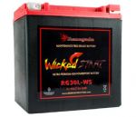 12 Volt, 30 Amp High Performance Sealed Battery