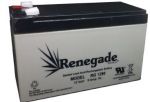 12 Volt, 9 Amp Battery