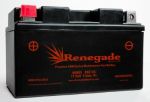 12 Volt, 9 Amp Sealed Maintenance Free Battery