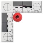 7/8" Color Wood Beads 2pk