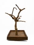 Tabletop Java Tree Activity Play Stand
