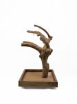 Tabletop Java Tree Activity Play Stand