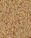 11oz Oats Groats Treat - Kaytee Forti Diet 