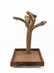 Tabletop Java Tree Activity Play Stand