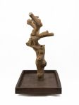 Tabletop Java Tree Activity Play Stand