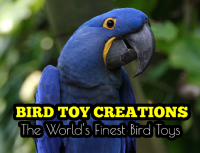 Bird Toy Creations