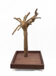 Tabletop Java Tree Activity Play Stand