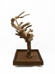 Tabletop Java Tree Activity Play Stand