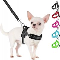 Harnesses & Carriers