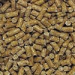 25lb Parrot Premium Pellets-Lafeber's