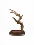 Tabletop Java Tree Activity Play Stand
