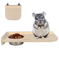 Chinchilla