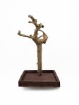 Tabletop Java Tree Activity Play Stand