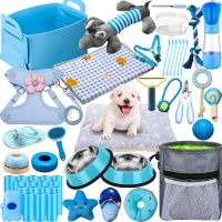 Small Animal Supplies