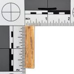 Bamboo Sticks Per Ounce