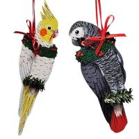 BIRD MERCH