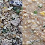 2oz Creamy Zen - Worldly Cuisines