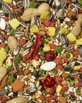 5lb Parrot Forti Diet-Kaytee