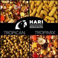 HARI (HAGEN) BIRD FOOD