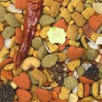 3lb InTune Harmony Parrot - Higgins 