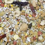 5lb Vita Seed California Blend Parrot - Higgins 