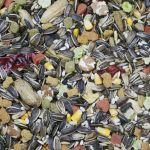 5lb Vita Seed Natural Parrot - Higgins 
