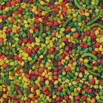 3lb Tiel Exact Rainbow - Kaytee