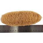 Whole Luffa Sponge