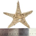 12cm Vine Star