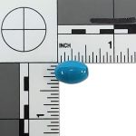 1oz Oval Pony Beads