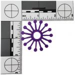 Plastic Round Gears - Plastic Bird Toy Parts