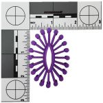 Plastic Oval Gears - Plastic Bird Toy Parts