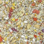 25lb Higgins Safflower Gold Natural Parrot