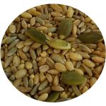 1lb All in One Seed Mix - Top's Parrot Food