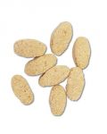 20lb Natural Parrot/Conure Pellets - Zupreem 