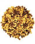 17.5lb NutBlend Flavor-Zupreem 