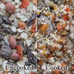 2oz Spice Market - Worldly Cuisines