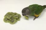 11lb Sliced Dried Kiwi - Bulk Ingredients
