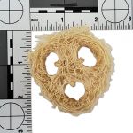 6pk "Stuffin' Loofah"