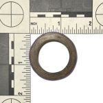1-1/2" Fattie Rings - Birdie Bagels 