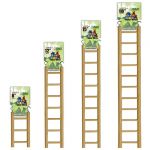 6" Small Bird Ladder - Happy Beaks