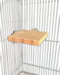 5" x 5" Corner Shelf - Zoo-Max 