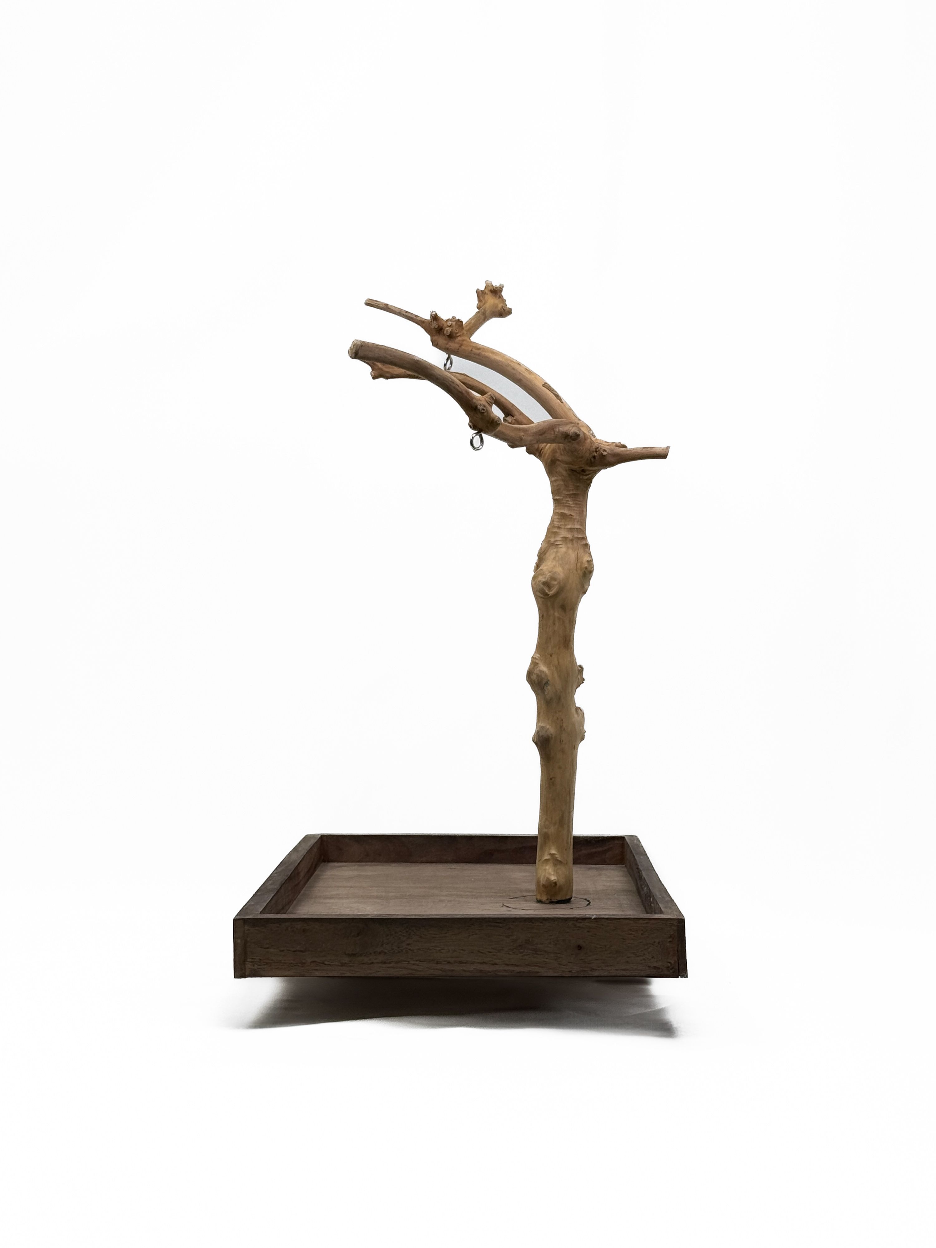 Tabletop Java Tree Activity Play Stand