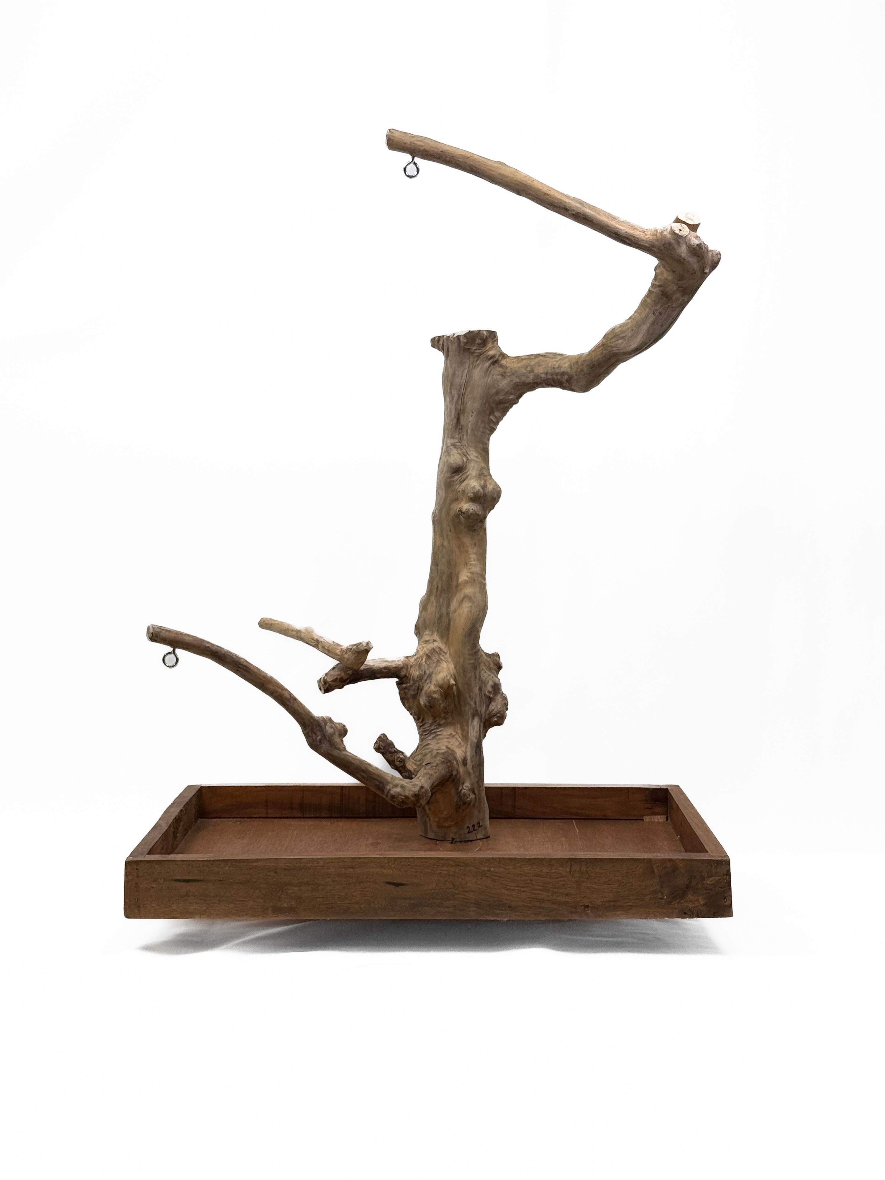 Tabletop Java Tree Activity Play Stand