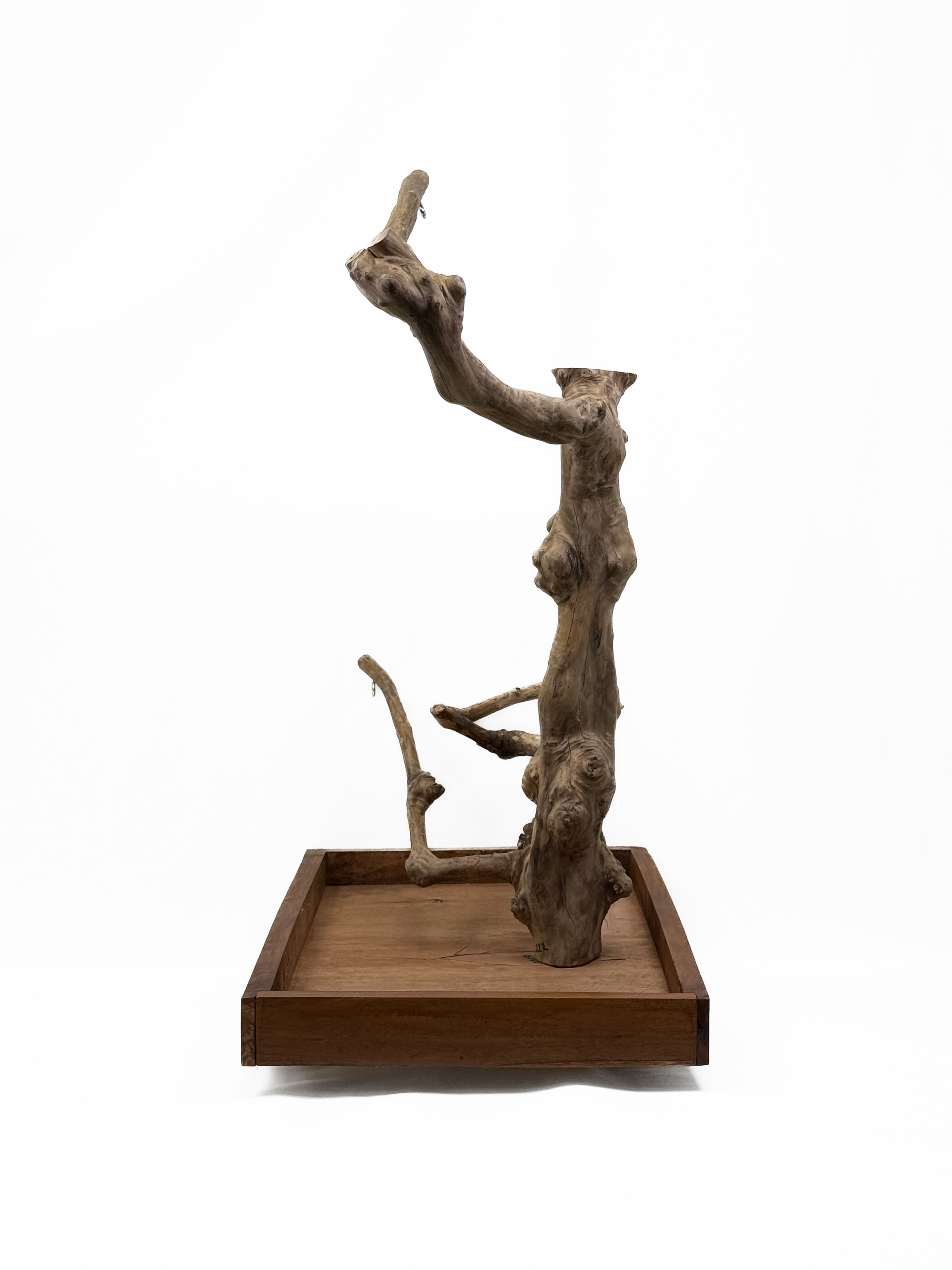Tabletop Java Tree Activity Play Stand
