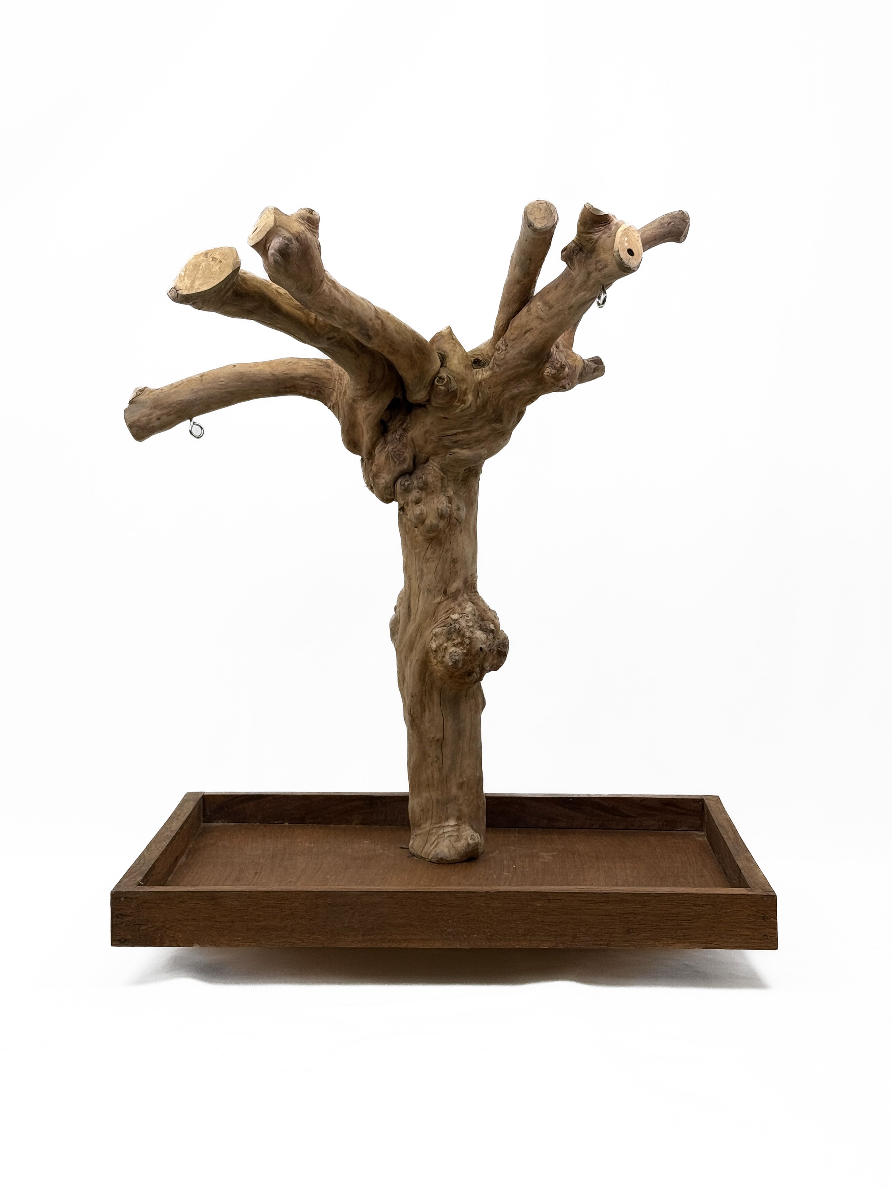 Tabletop Java Tree Activity Play Stand