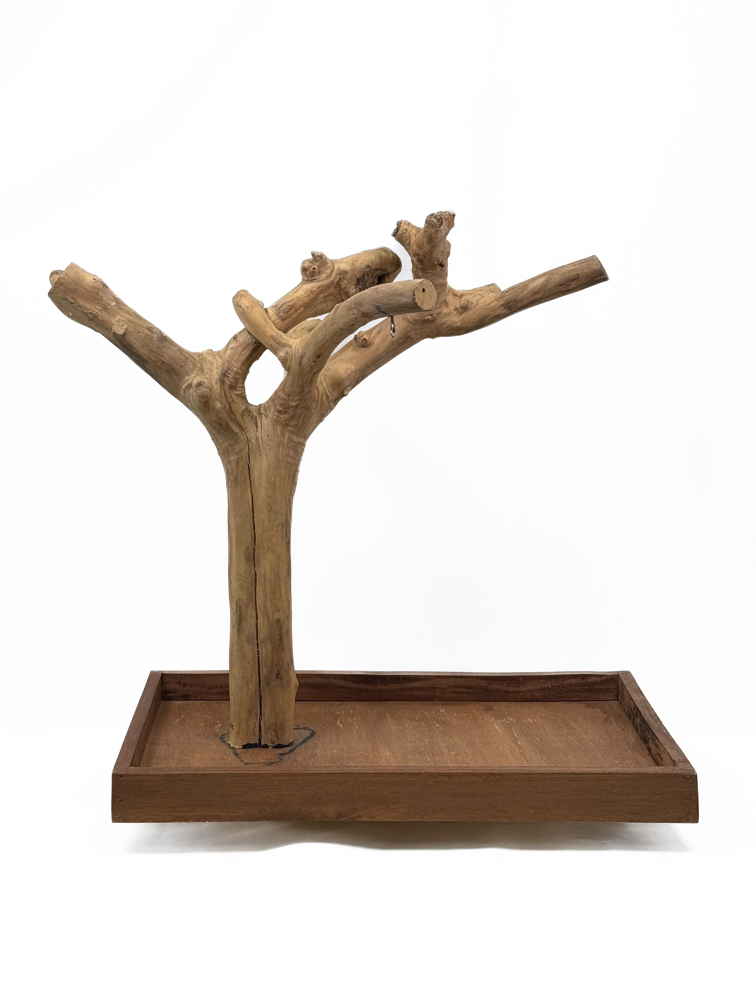 Tabletop Java Tree Activity Play Stand
