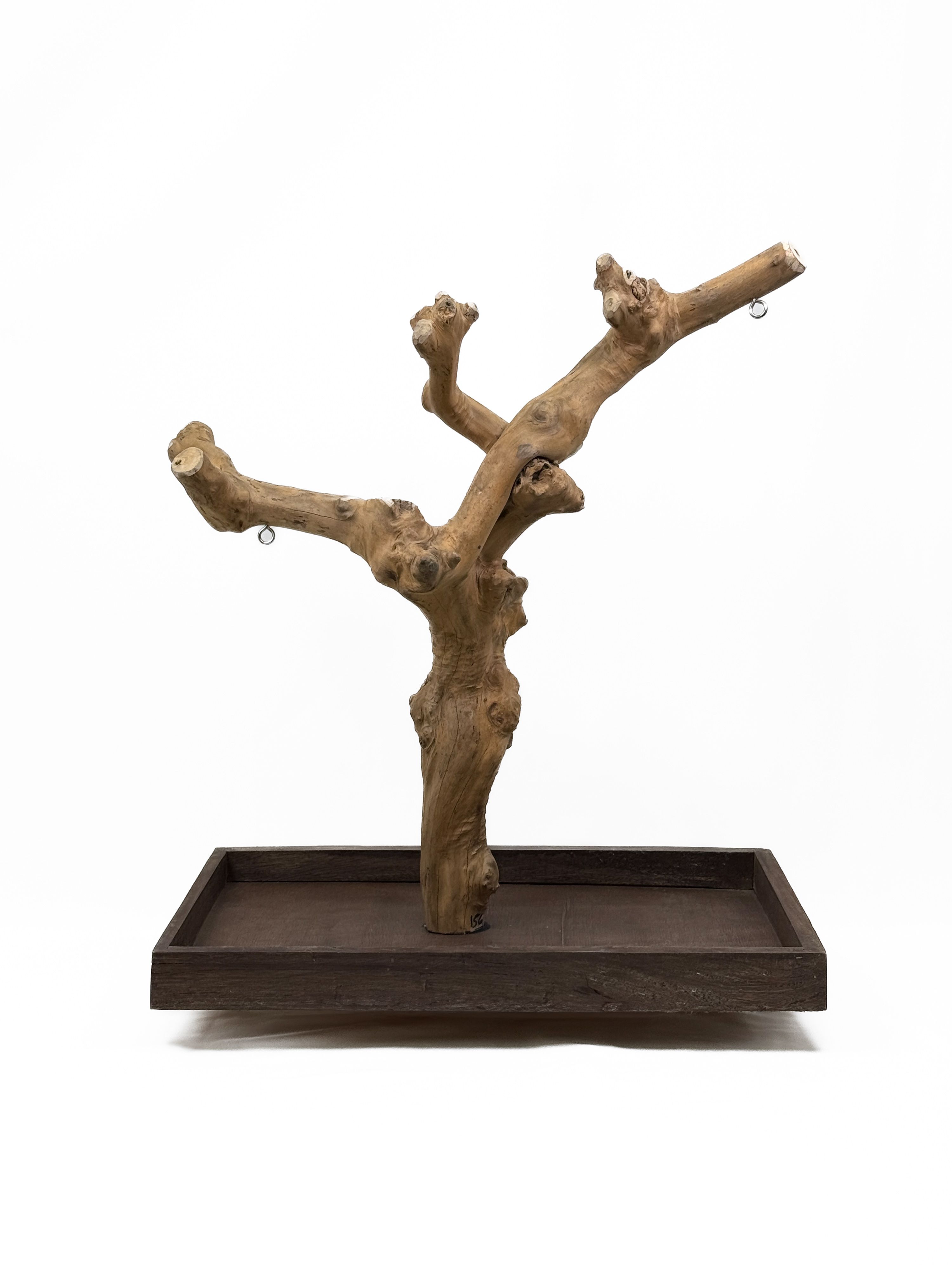 Tabletop Java Tree Activity Play Stand